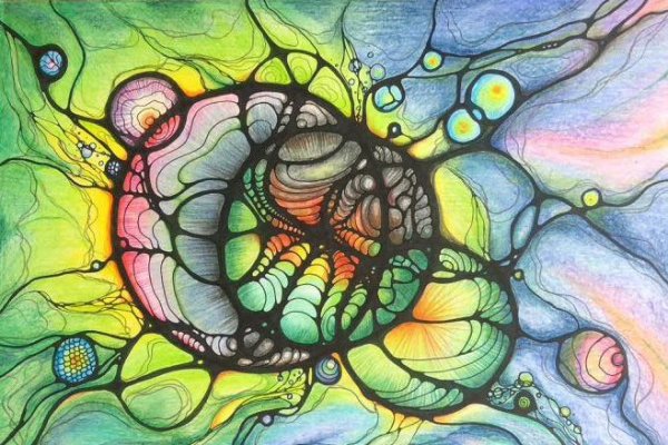 Kraken магазин